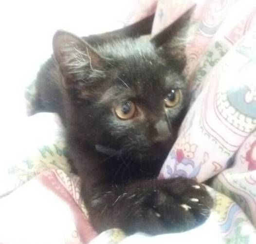 из архива хозяйки