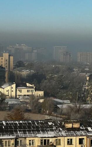 читателя 24-kg.com