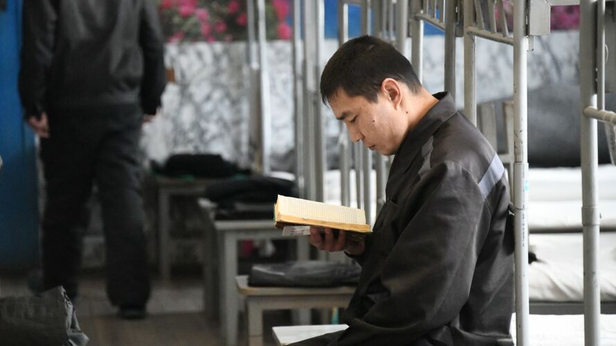 иллюстративное