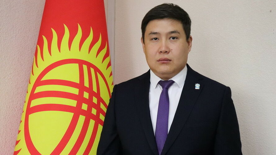 из интернета