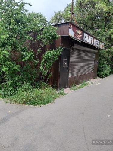 читателя 24-kg.com