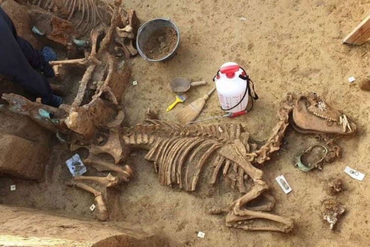 Cibalia.info/HR Turizam/Goran Rihelj/Novosti.hr