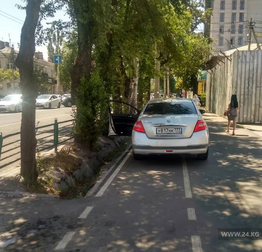 читателя 24-kg.com