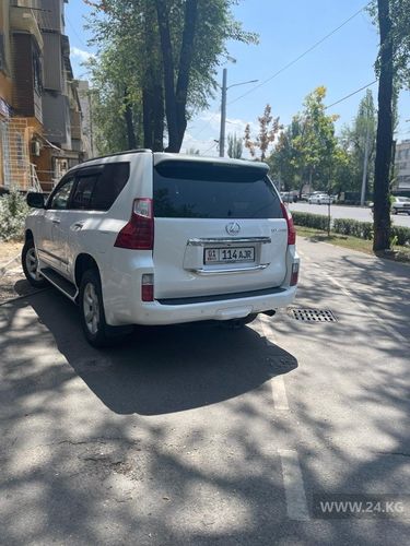 читателя 24-kg.com