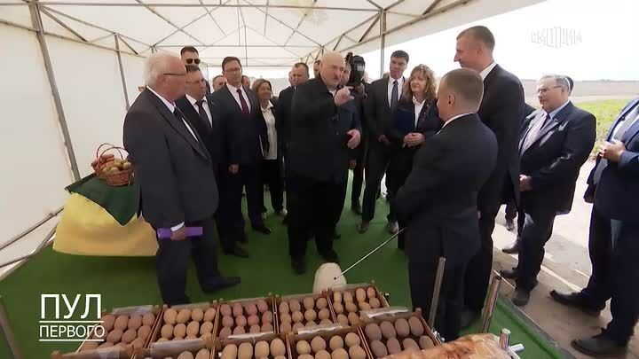 из Telegram-канала «Пул первого»