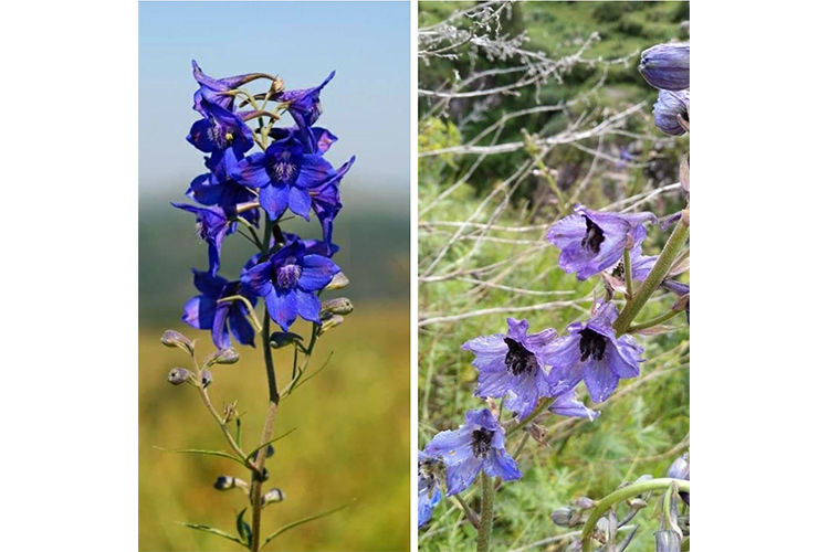 из архива Нели Омаровой