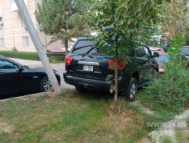 читателя 24-kg.com