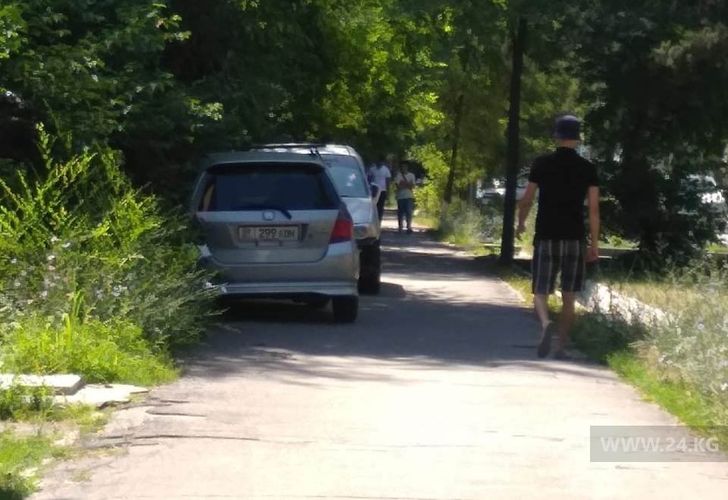 читателя 24-kg.com