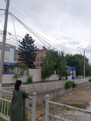 читателя 24-kg.com