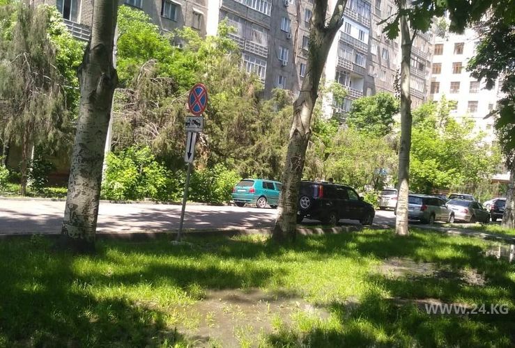 читателя 24-kg.com