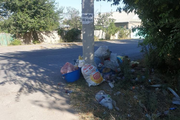 читателя 24-kg.com