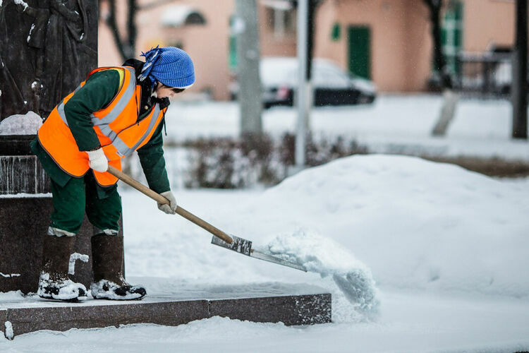 иллюстративное