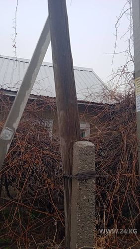 читательницы 24-kg.com