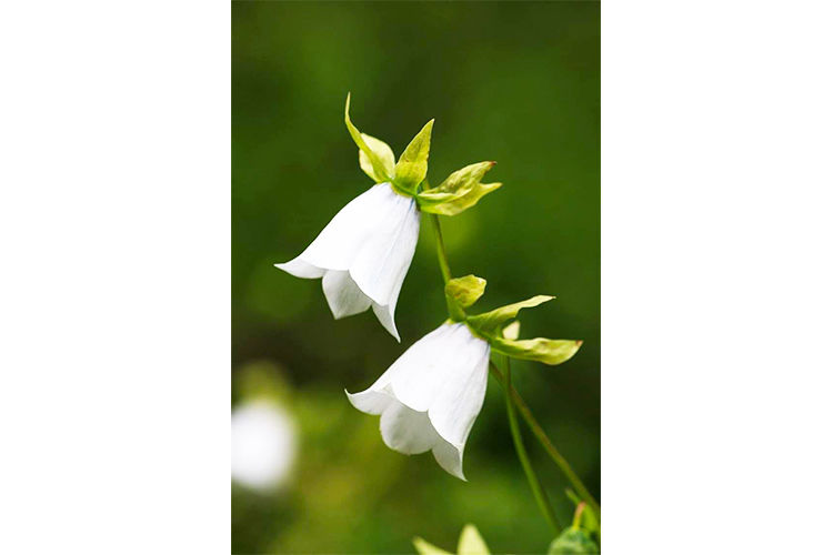 из архива Нели Омаровой