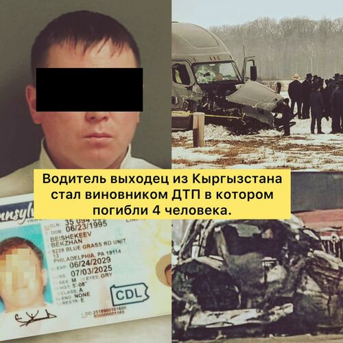 из интернета