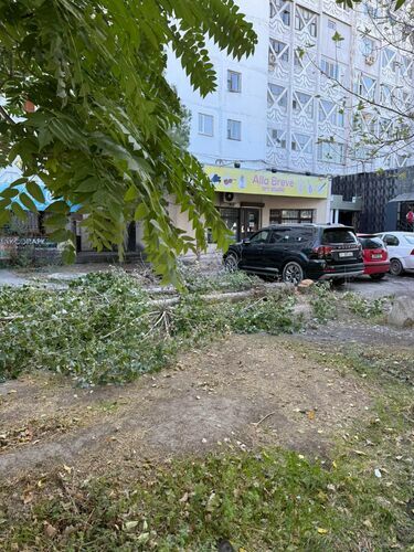 Интернеттен алынды