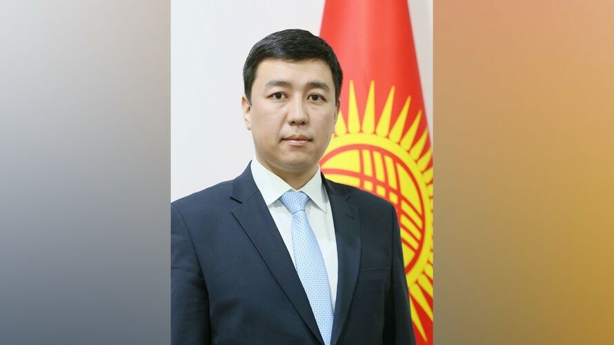 из интернета