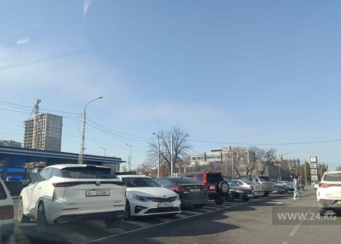 читателей 24-kg.com