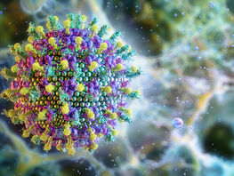 Вирус Нипах у&nbsp;границ&nbsp;КР: пассажиров из&nbsp;Индии проверяют в&nbsp;усиленном режиме 