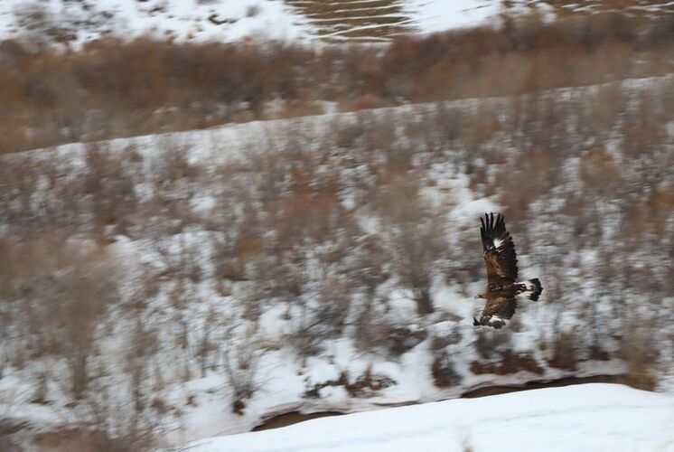Министерства природных ресурсов, экологии и технического надзора КР