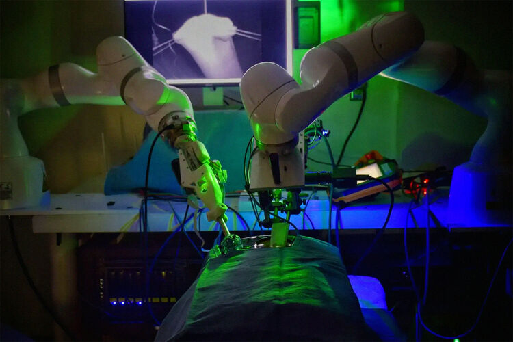 Johns Hopkins University