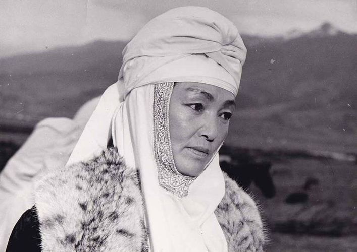 Санариптик өнүктүрүү министрлиги